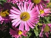 �������!