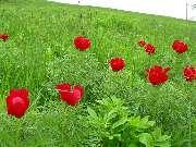 ������ ������ 9 ��� 2005 ����