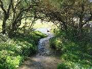 ����� ����� (06.10.2006)