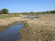 ����� ���-�����-������� (�������� � ����) 06.10.2006