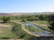 ����� ����� (06.10.2006)