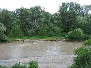 ����� ����������� (07.06.2006)