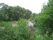 ����� ����������� (07.06.2006)