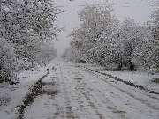 ��. ������� � ��������, 5 ������ 2006 �.