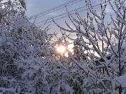 ��������� ���� 12/11/2006 ����