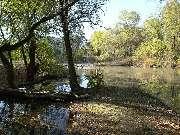 ������, � �������!