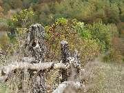 ���������� ����� (������ � ����������)