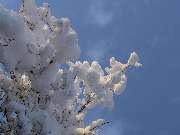 ���� 2006 ����.