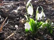 13 �������, 2007 ���