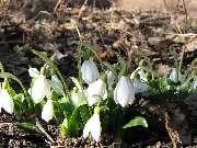 13 �������, 2007 ���