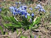 ���� ����: 21 �����, 2007