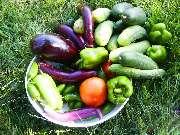 ���  ��������� �� ������.