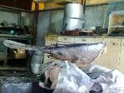 ��� ���� ������� � ����� �� ������ ���� ��������� ������������� ������.