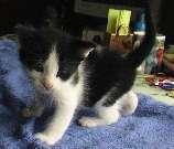 ������� � ������� ���� ������ (��������)