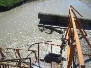 ���� ������ ��������