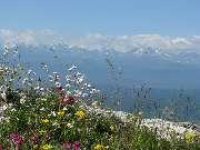 �� ���������� ����� ���������