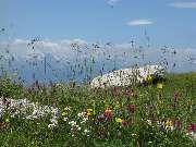 ����� � ������������ ���������