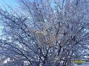 �����������! �� ���-���� �����, �������� ����, � ������ �� ��� ������� ����...