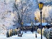 �� ���������� ����������.