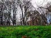 ������ ����... 14.12.2010�.