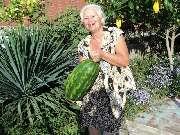 � ������� �������� ���������� � �����. ����� ��� �� �����.� ������ ���� ���-�� ������ �������.