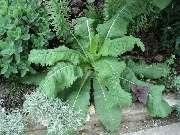 ����� ������ ���. �������� ��� �����. �� ���. �� ����� �������������_�� ����� ������, ������� �������, ���� ������ ��������. ������� ��� � �����.����� ��� ����� ��� ��� �����?