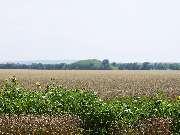 ���� �� ����� ���������� �� ��� ������