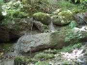 ����� ��������� � ���� � ��������� ������,��� "������"