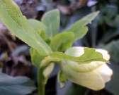 �������, 28.��������� �������� ����.